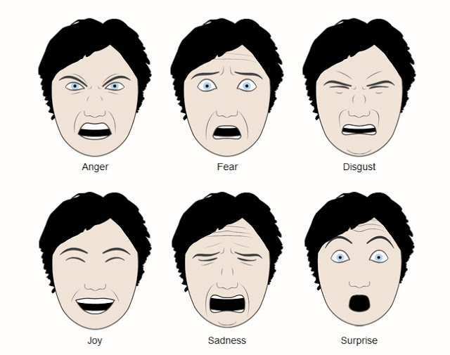 six basic human emotions