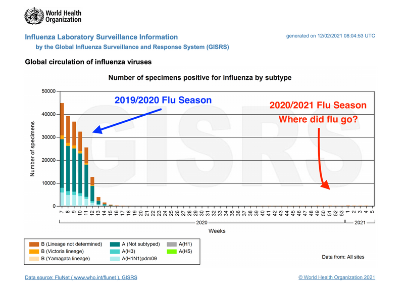World Health Organization Flu Data 2020 2021