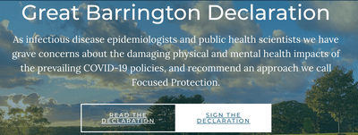 The Great Barrington Declaration Website
