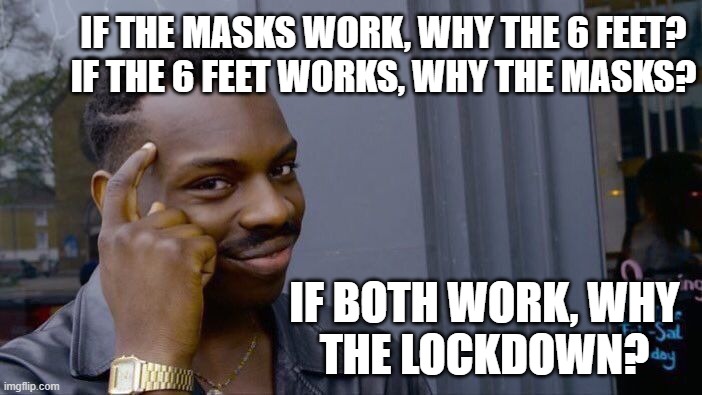 If masks work, why the 6ft? If the 6ft works, why the masks? If both work, why the lockdown?